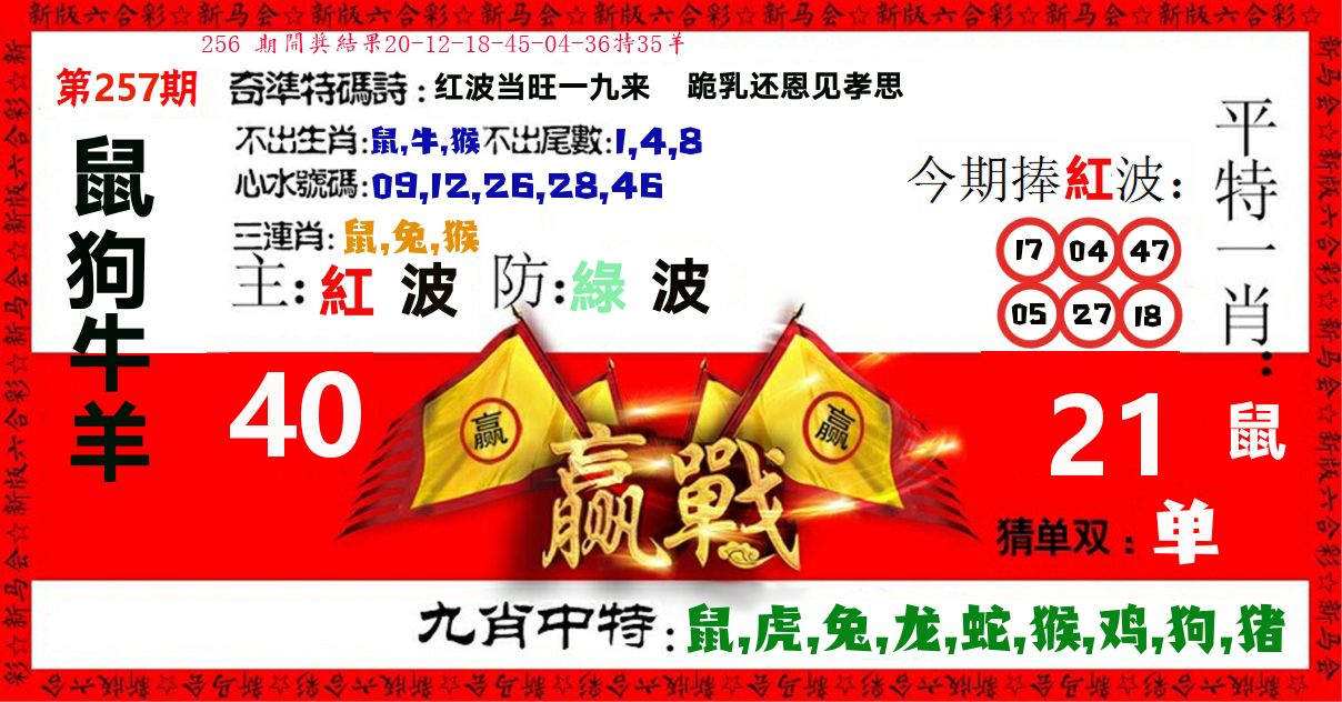 赢站 第257期