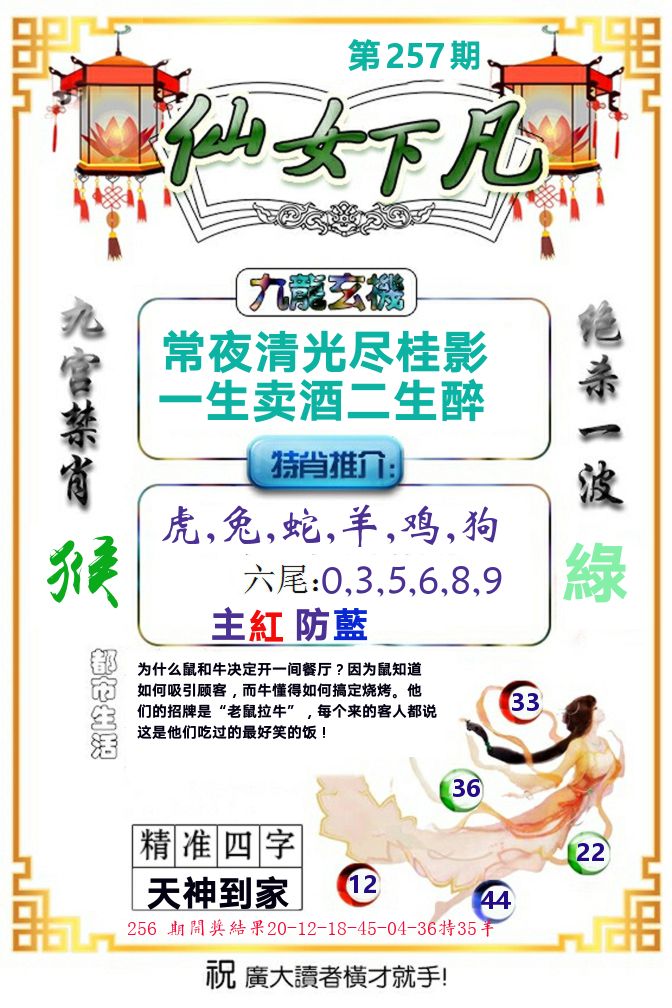 仙女下凡 第257期