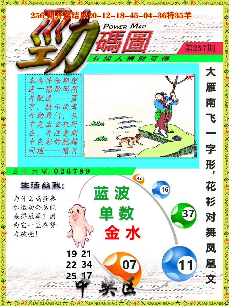 劲码图 第257期