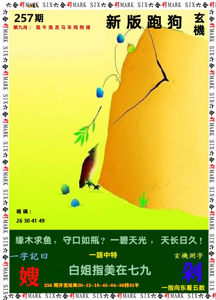 悟入其图 第257期