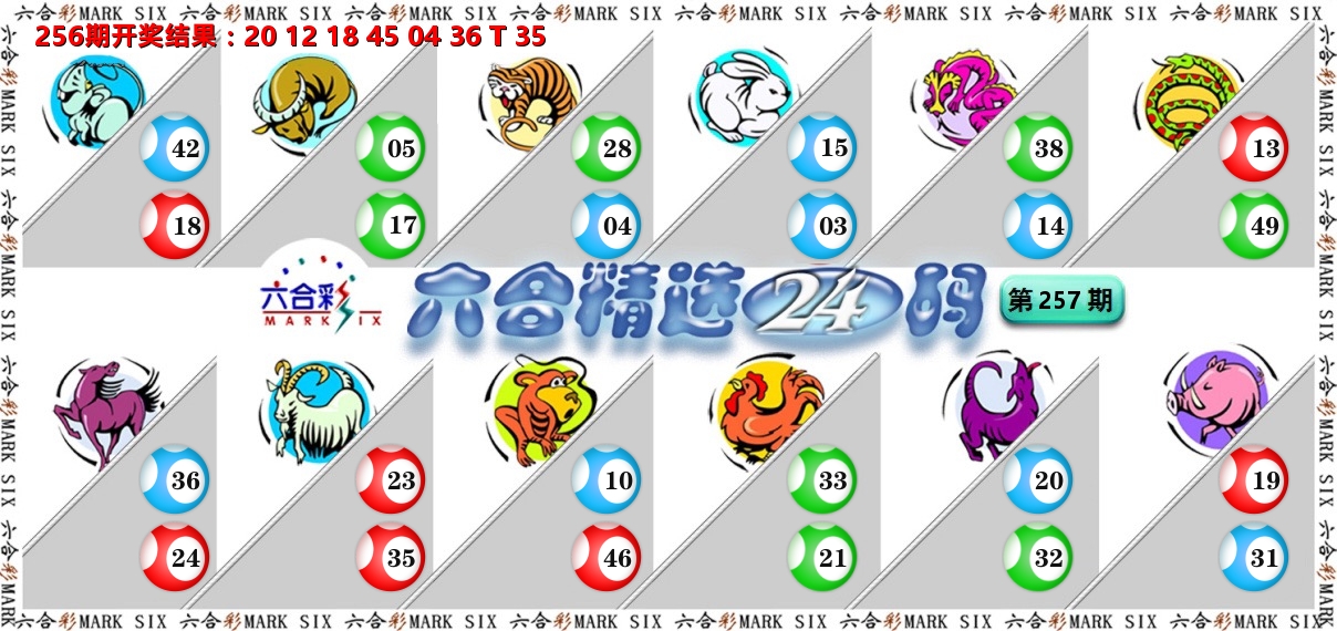 六合精选24码 第257期