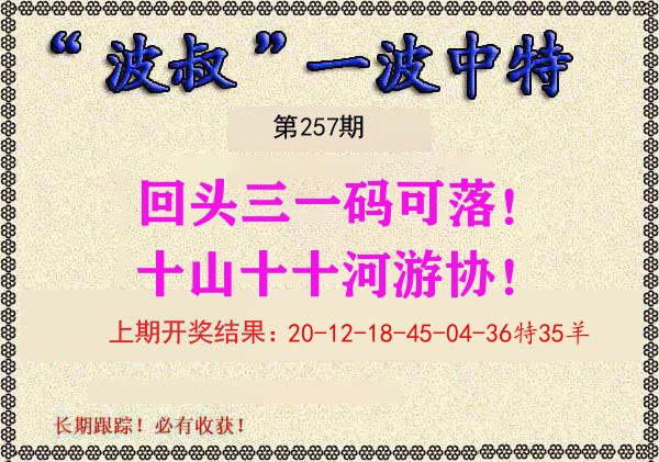 波叔中特 第257期