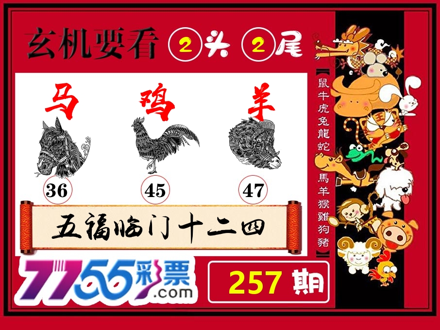 玄机要看 第257期