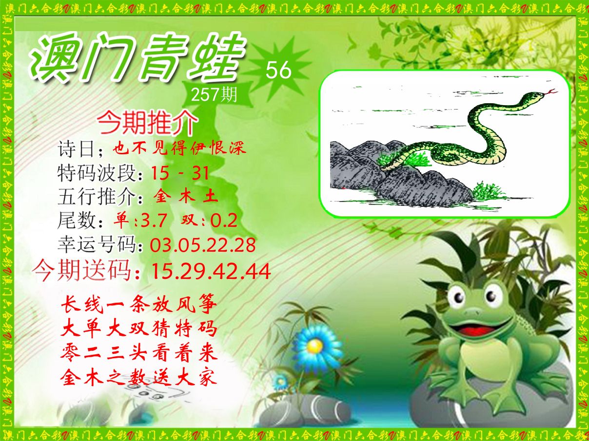 青蛙系列56 第257期