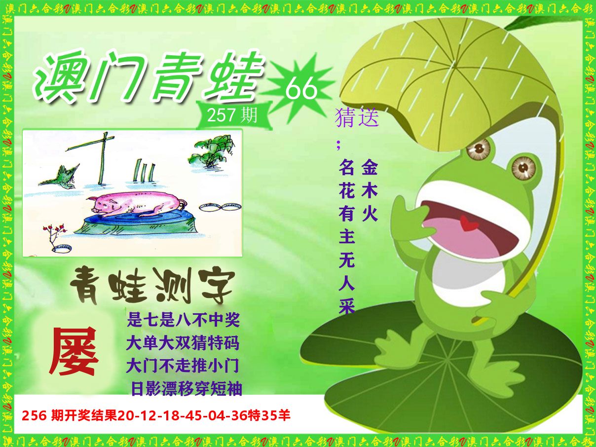 青蛙系列66 第257期