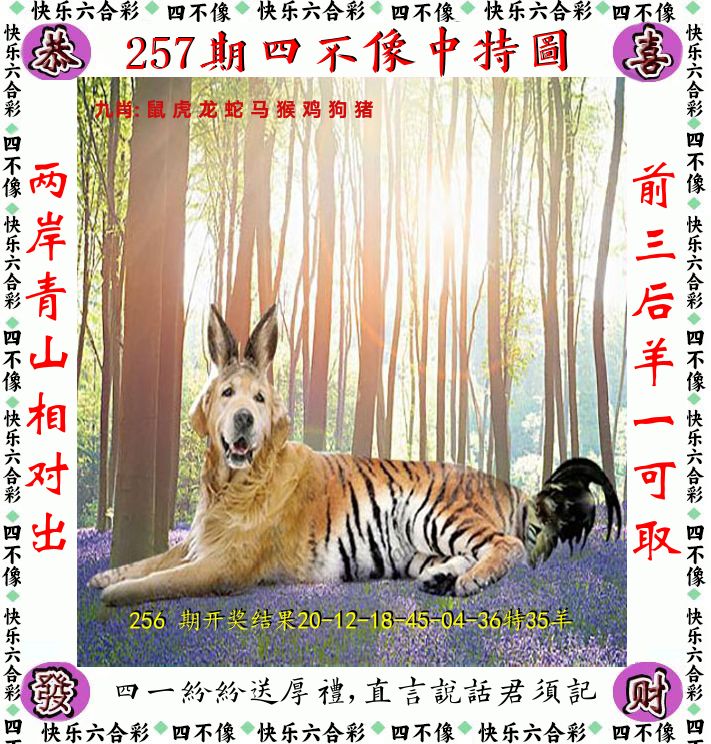 四不像 第257期