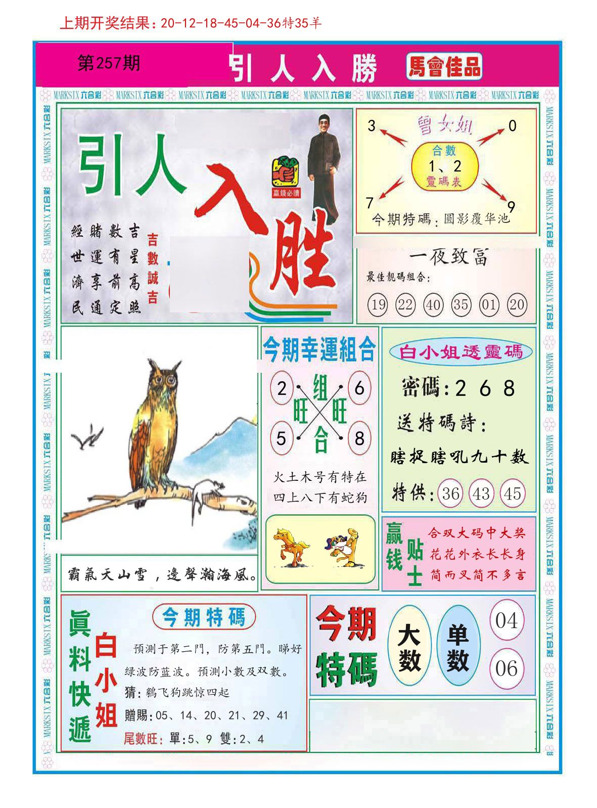 引人入胜 第257期