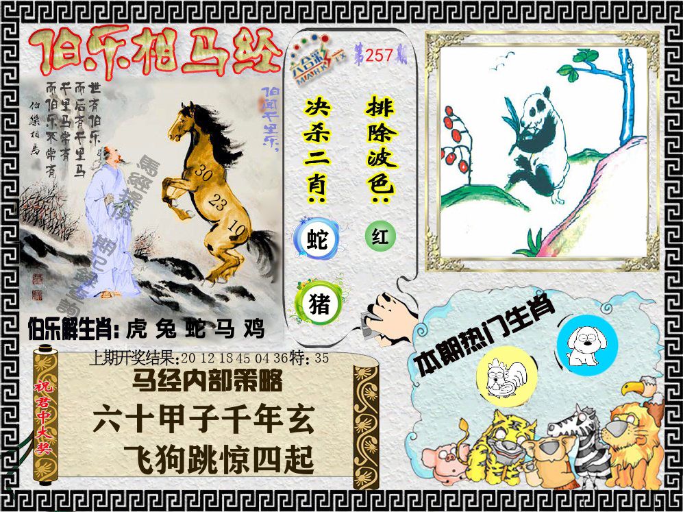 伯乐相马经 第257期