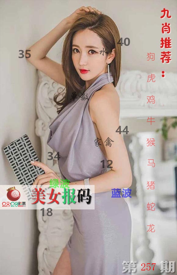 美女报码 第257期