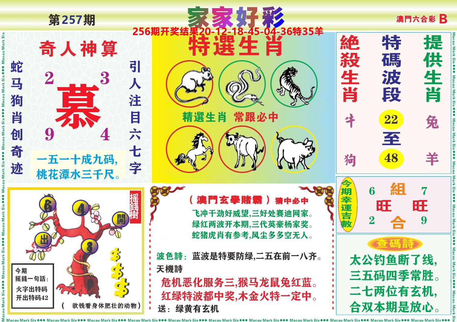 家家好彩B 第257期