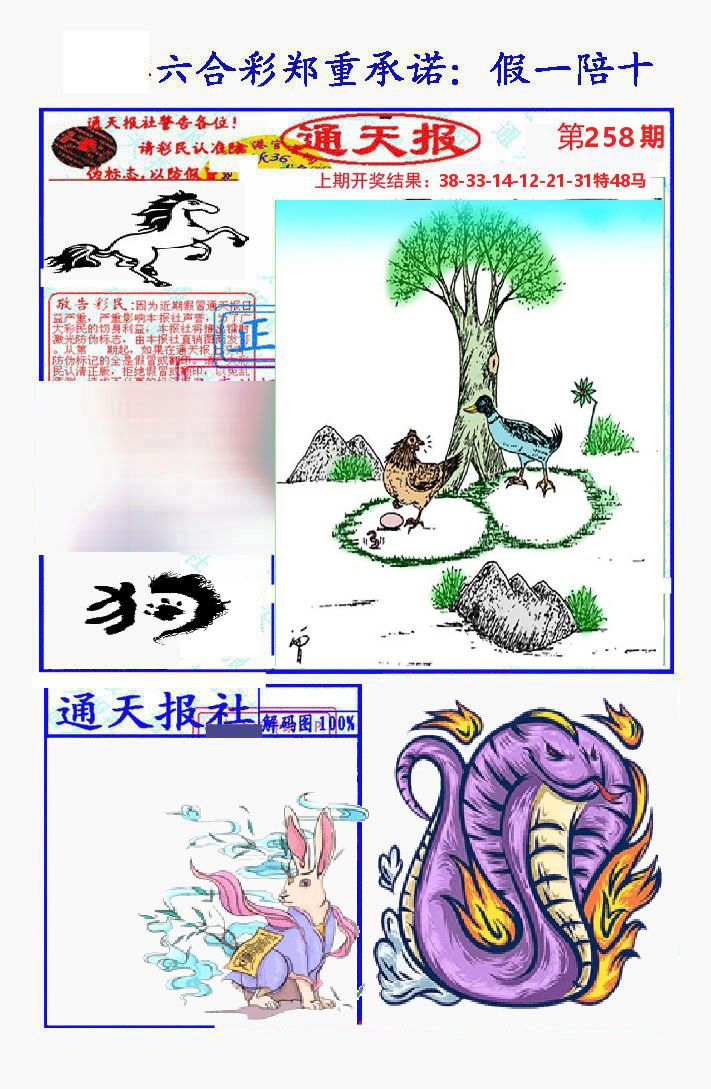 通天报 第258期