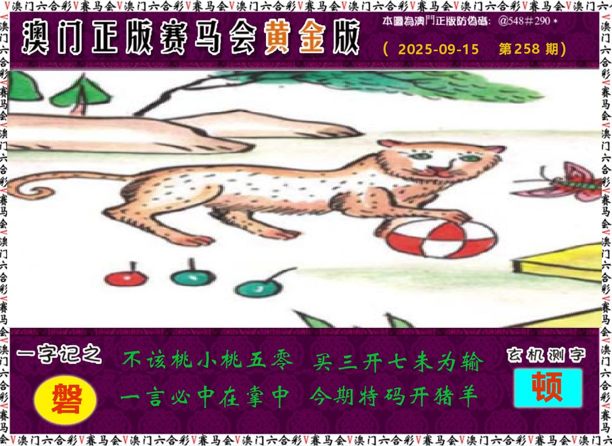 赛马会黄金版 第258期