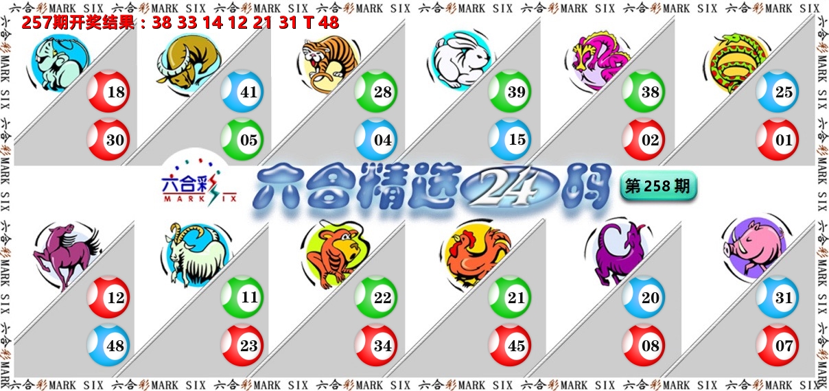 六合精选24码 第258期