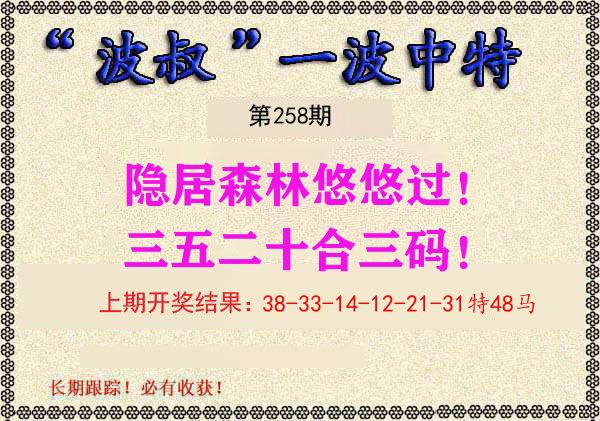 波叔中特 第258期