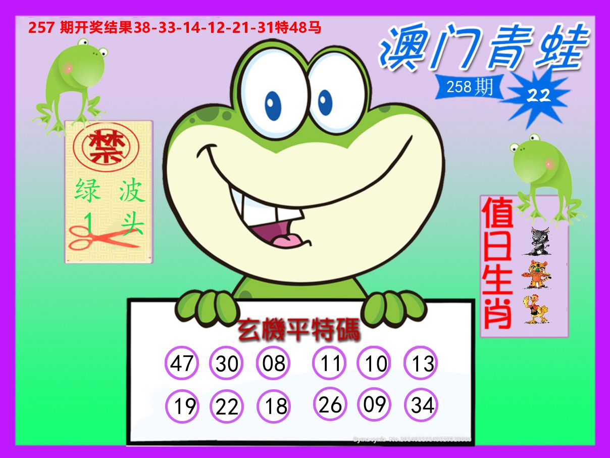 青蛙系列22 第258期