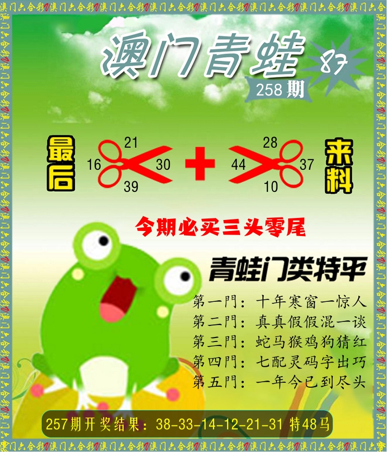 青蛙系列87 第258期