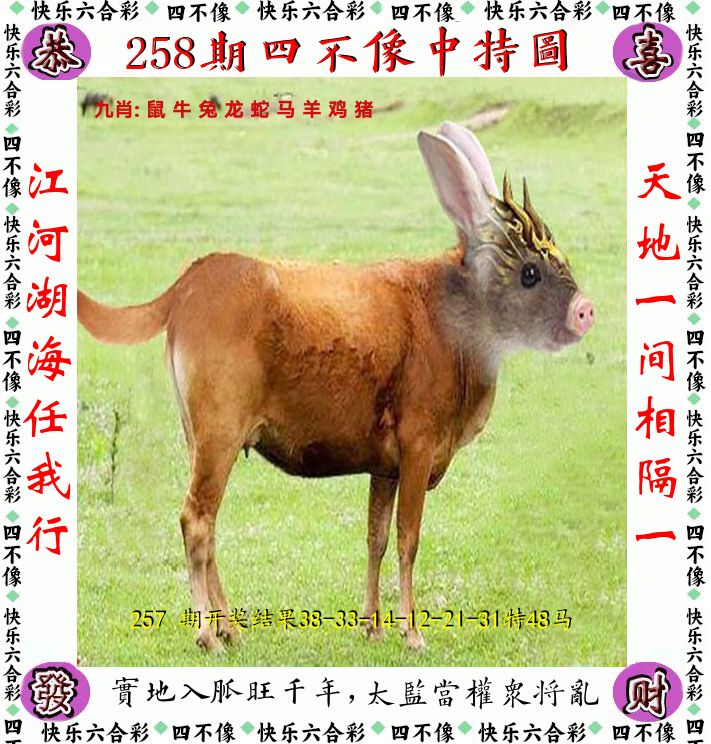 四不像 第258期