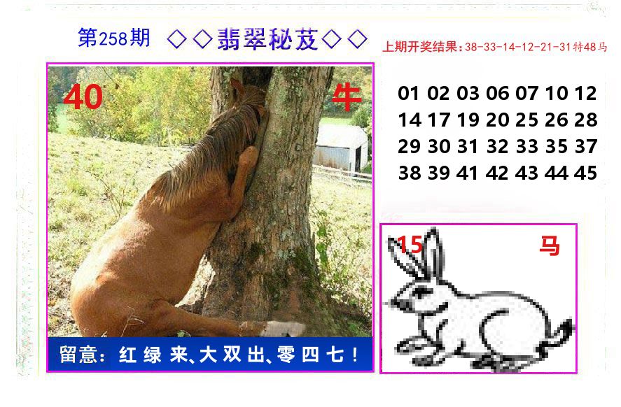 翡翠秘芨 第258期