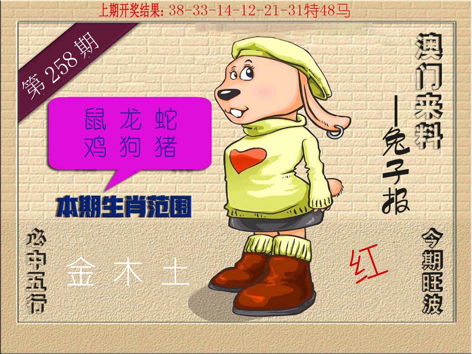 兔子报 第258期