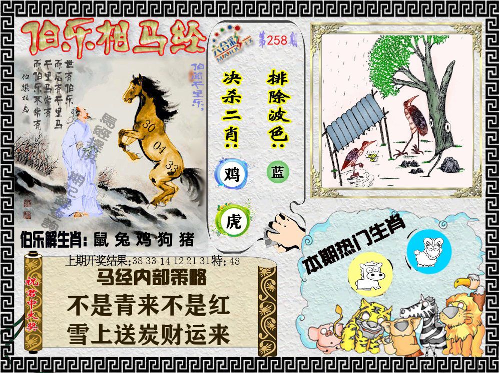 伯乐相马经 第258期