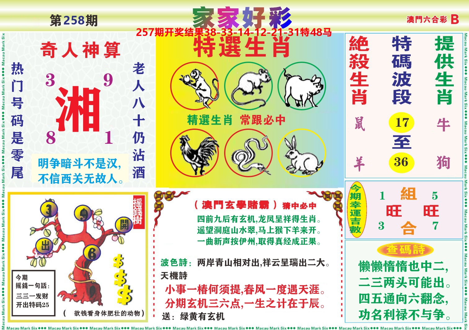 家家好彩B 第258期