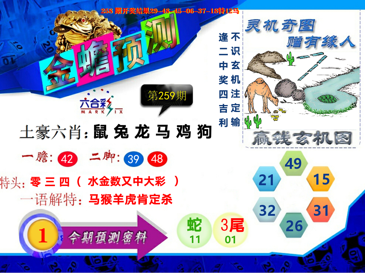 金蟾预测 第259期