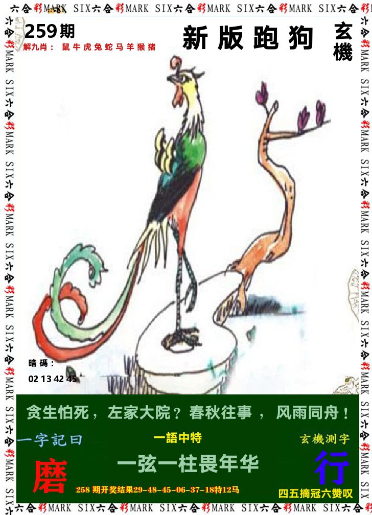 悟入其图 第259期