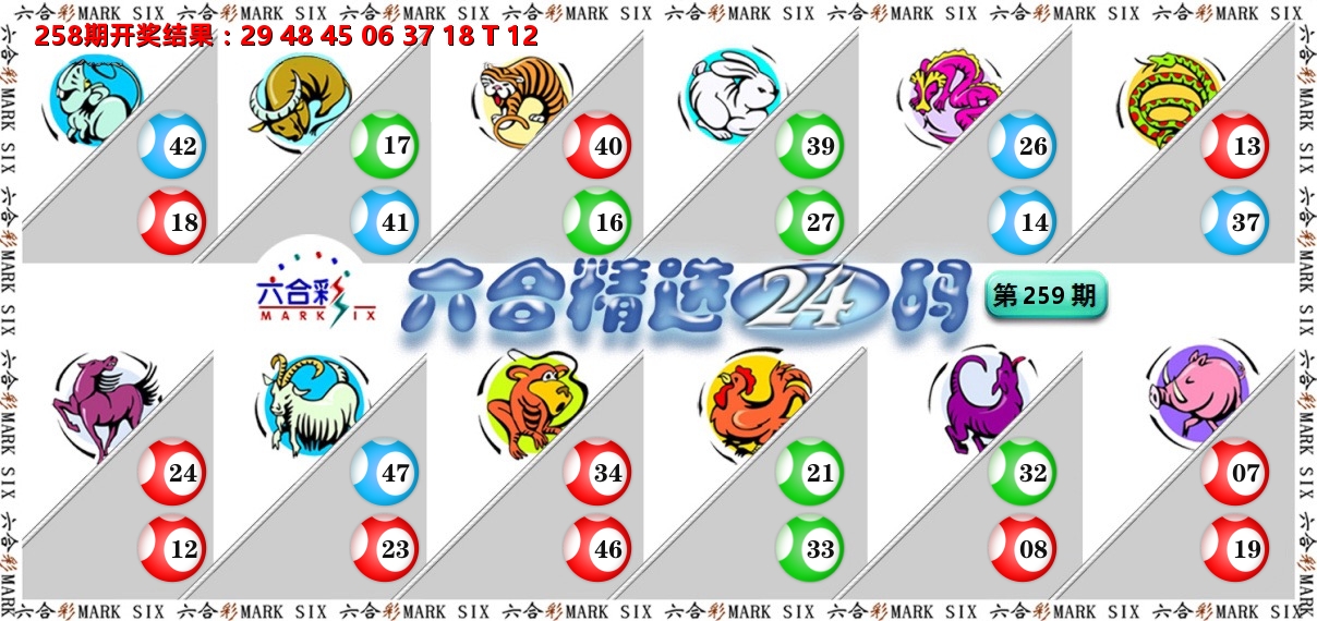 六合精选24码 第259期
