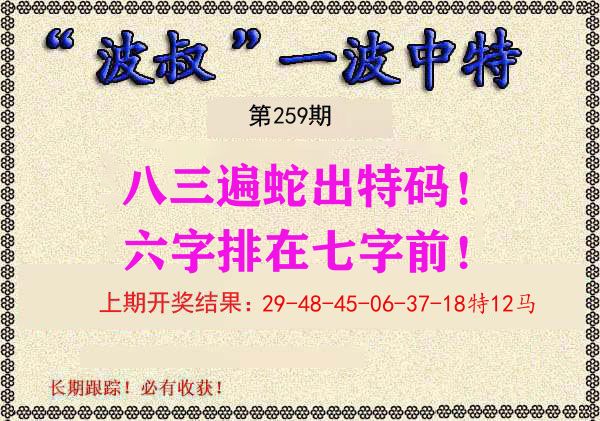 波叔中特 第259期