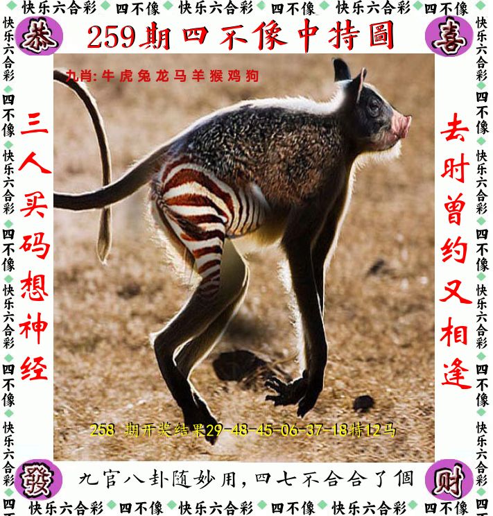 四不像 第259期