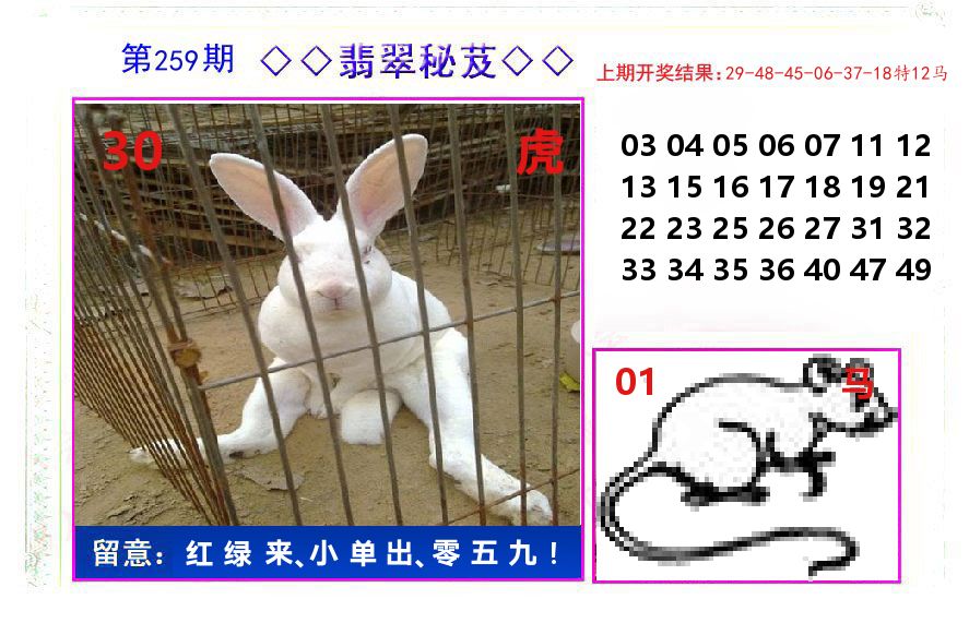 翡翠秘芨 第259期