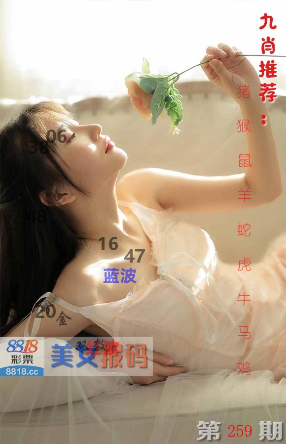 美女报码 第259期