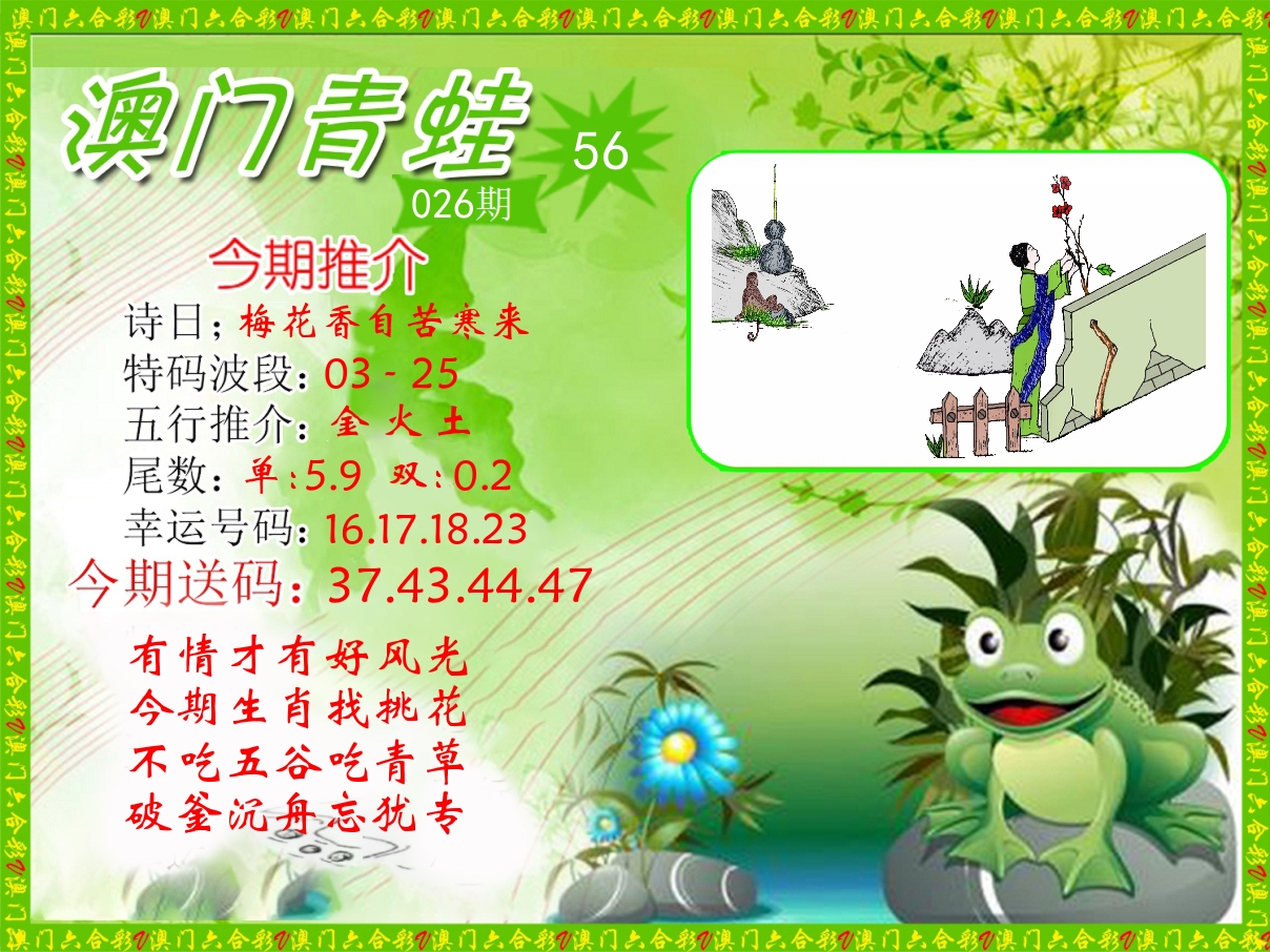 青蛙系列56 第26期