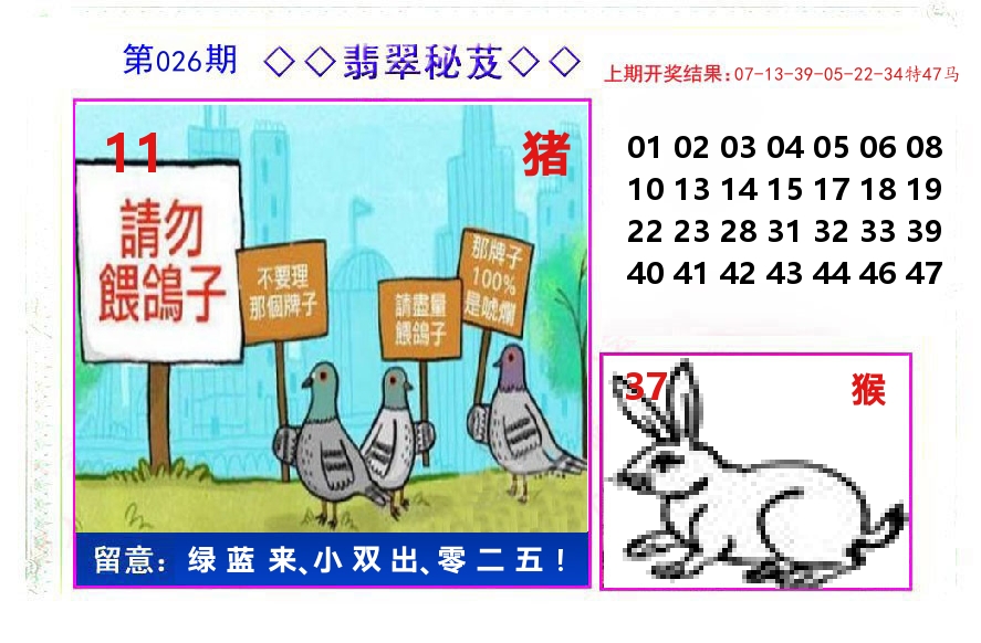 翡翠秘芨 第26期