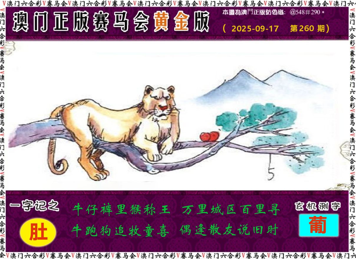 赛马会黄金版 第260期