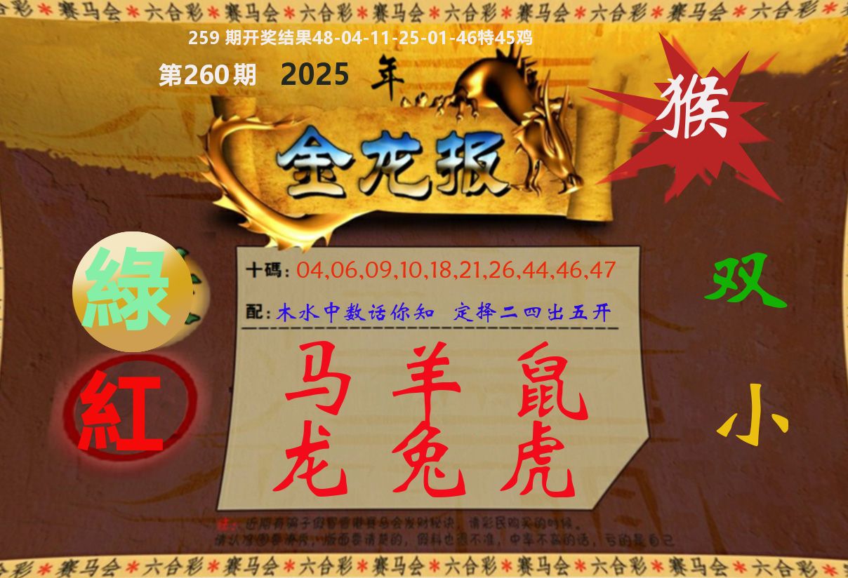 金龙报 第260期