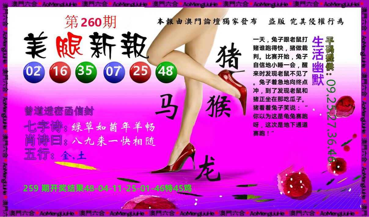 美腿新报 第260期