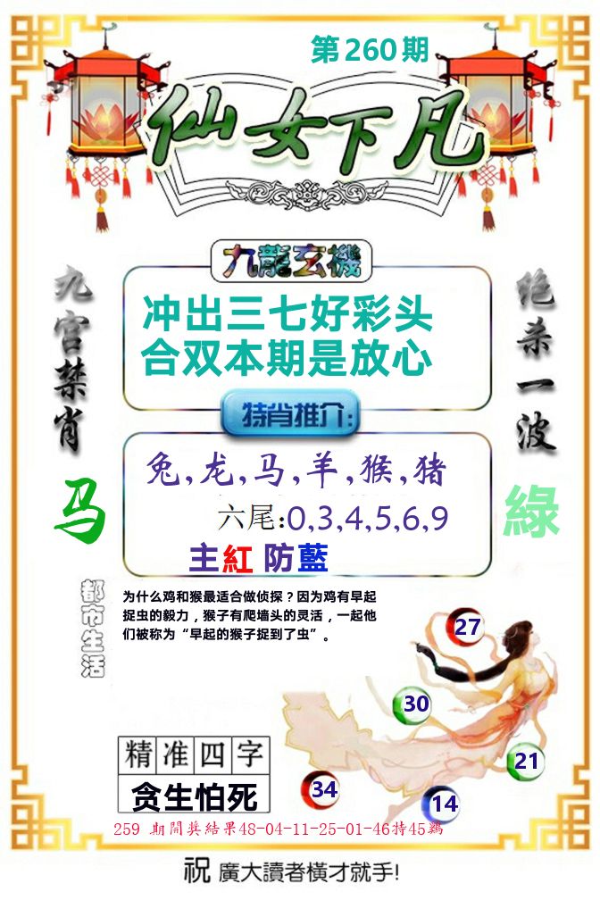 仙女下凡 第260期