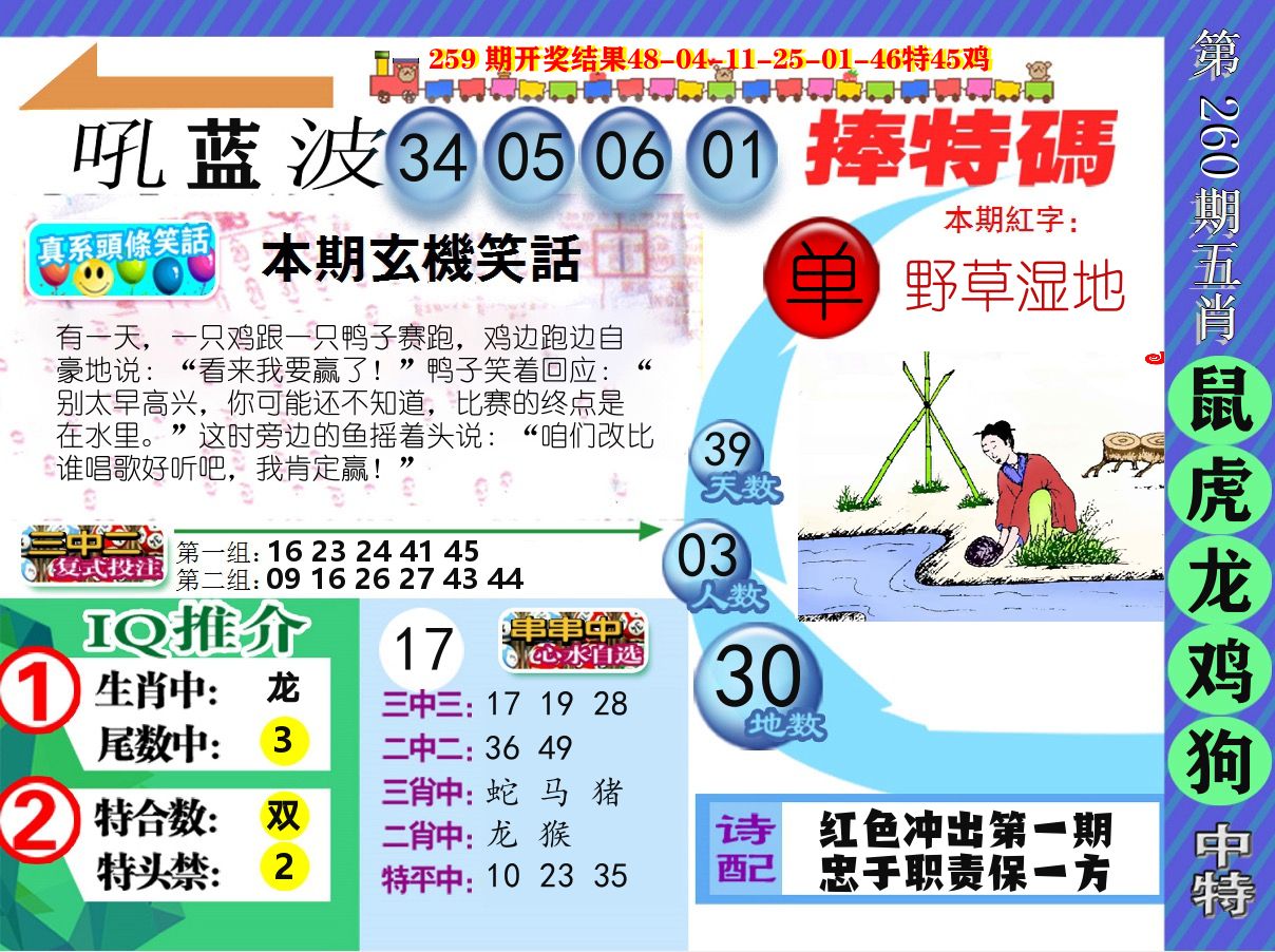 新特报 第260期