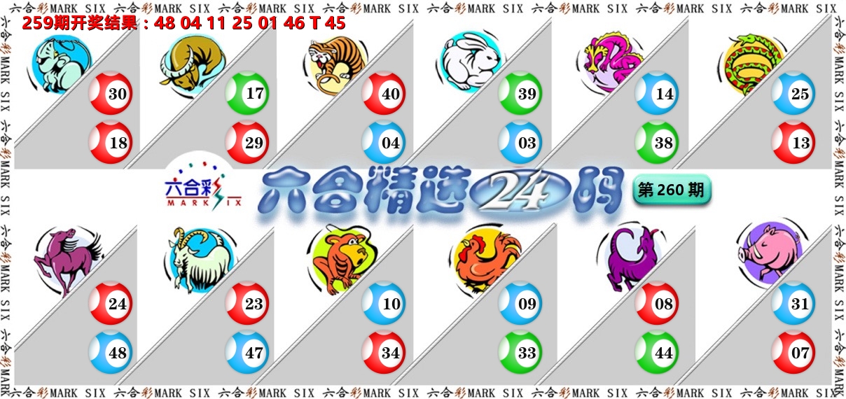 六合精选24码 第260期