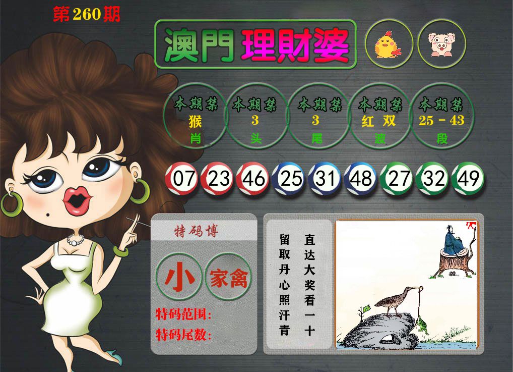 理财婆 第260期