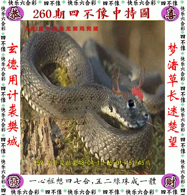 四不像 第260期