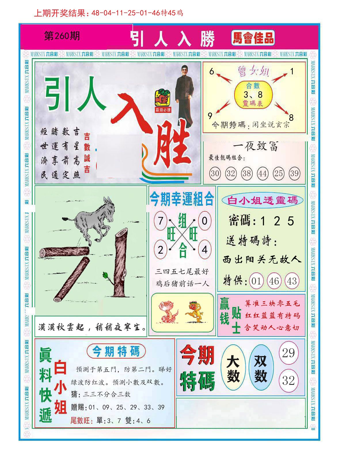 引人入胜 第260期