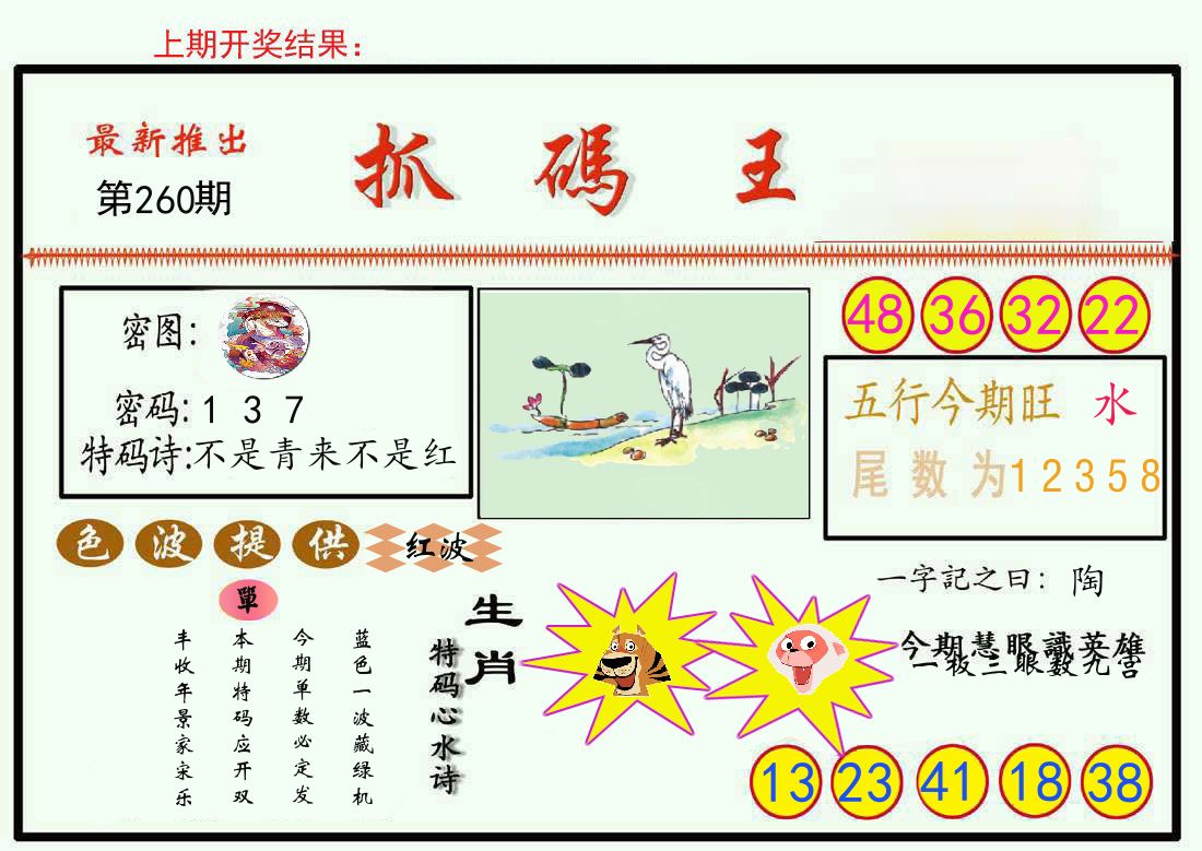 最新抓码王 第260期