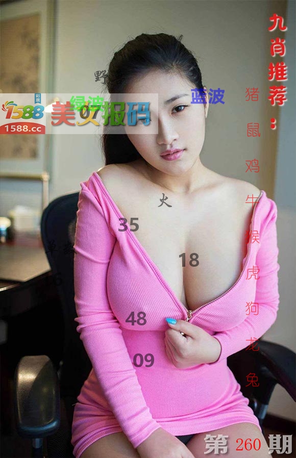 美女报码 第260期
