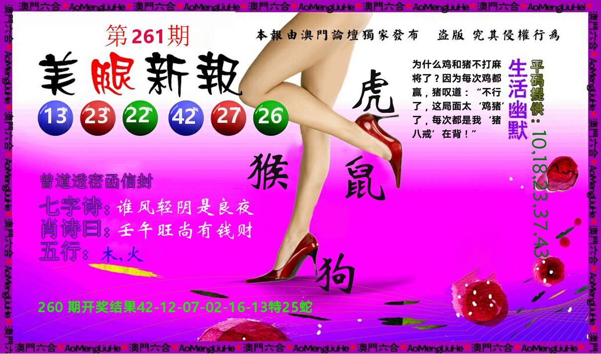 美腿新报 第261期
