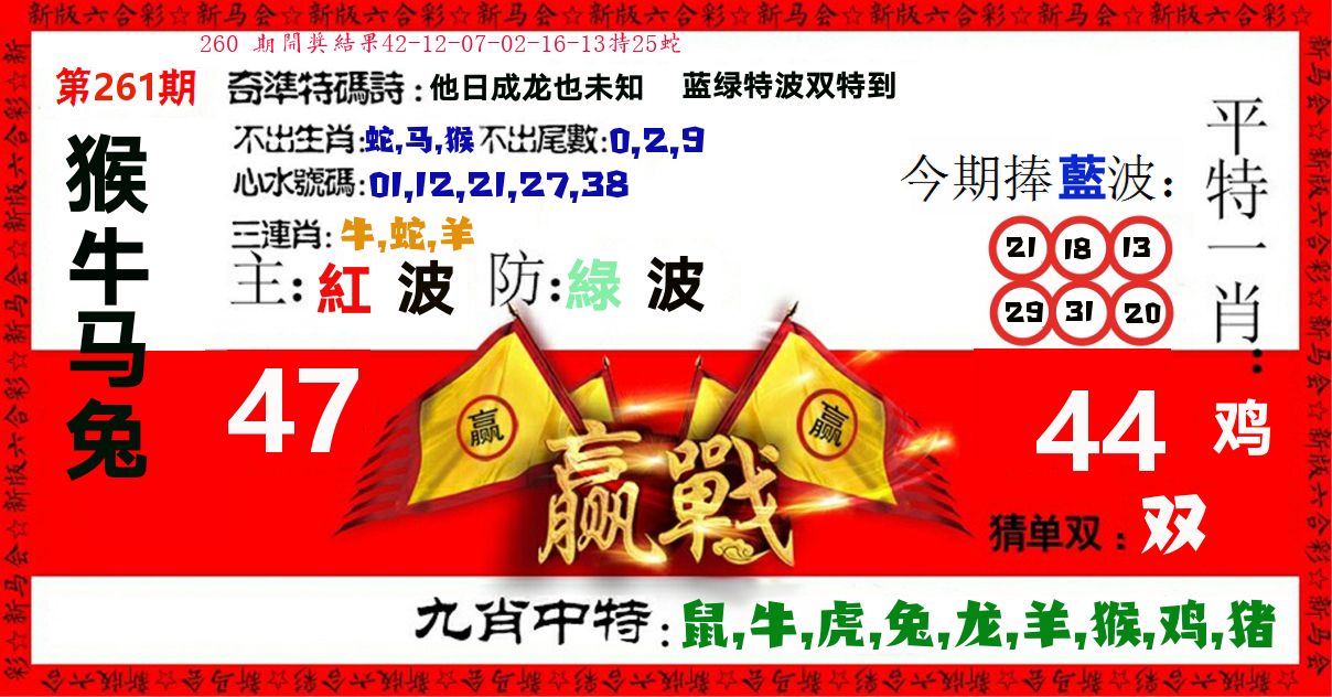 赢站 第261期
