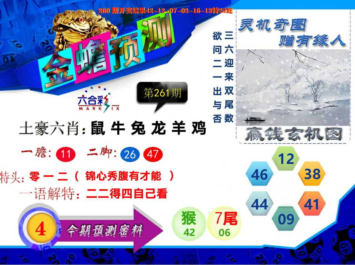 金蟾预测 第261期