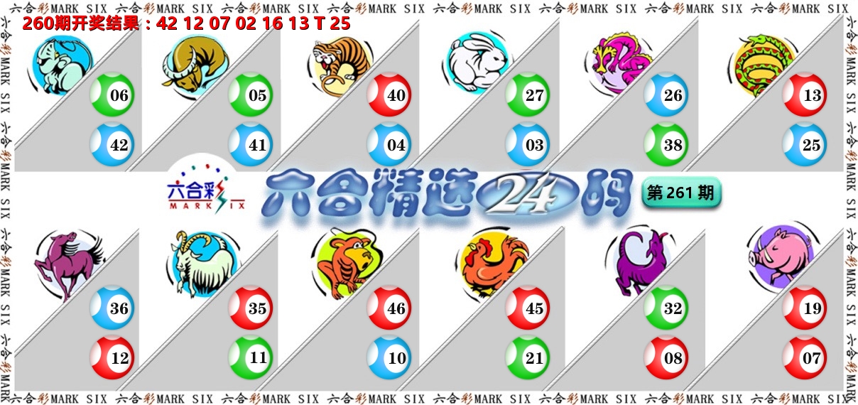 六合精选24码 第261期
