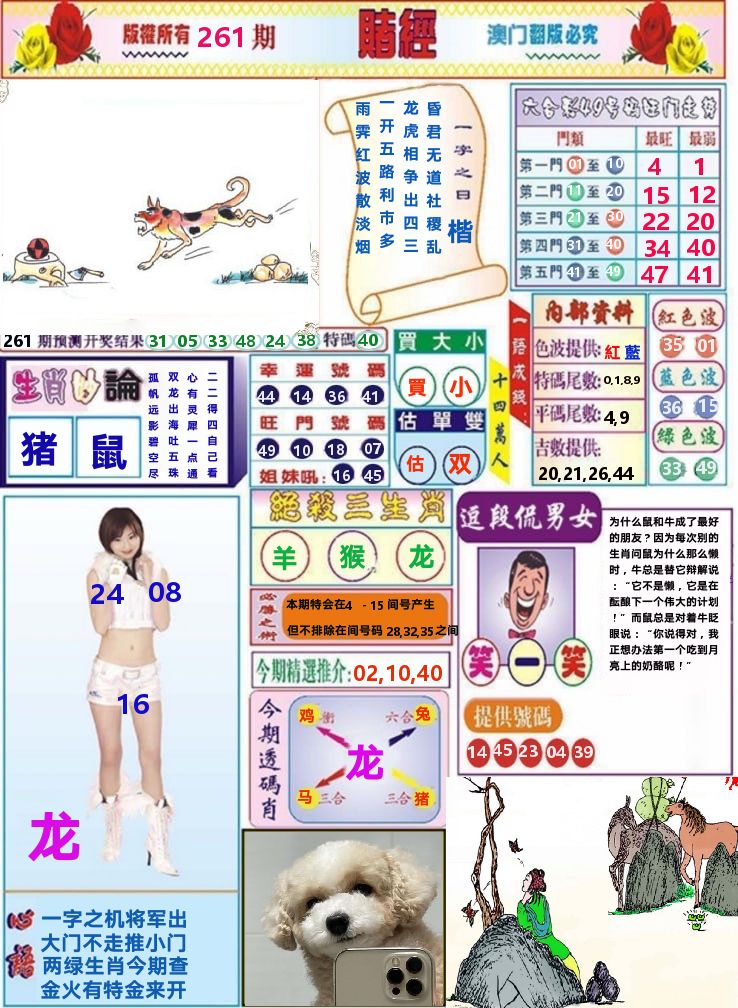 澳门赌经 第261期